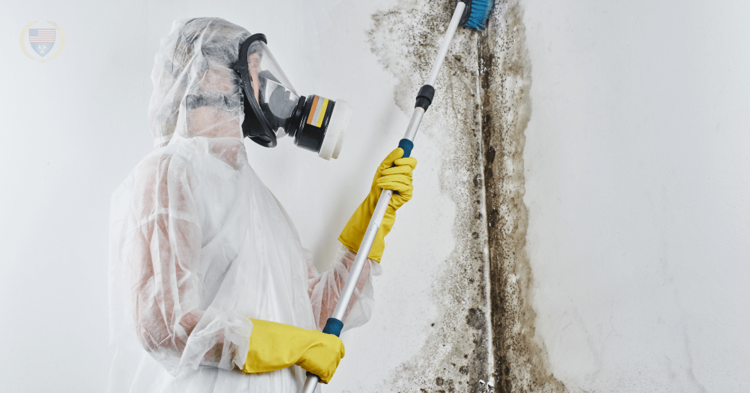 American Bio Management serving Seattle Mold and Fire cleanup needs American Bio Management serving Seattle Mold and Fire cleanup needs