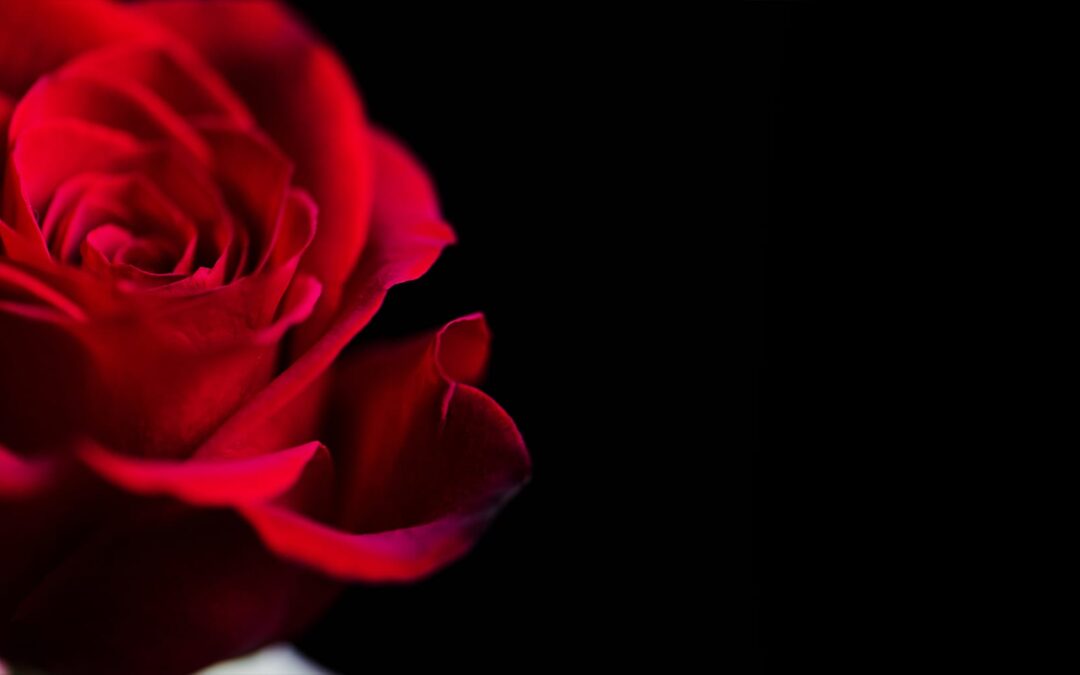 Homicide & Suicide Cleanup: Compassionate and Professional Biohazard Remediation