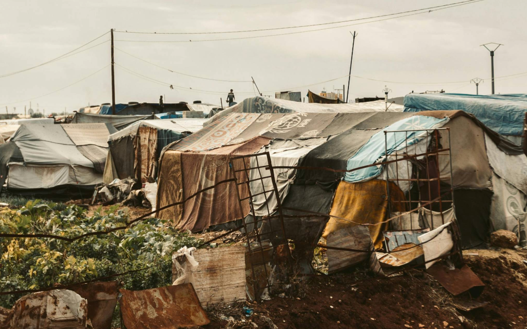 Homeless Encampment & Squatter Cleanup