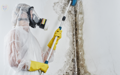 Mold, Fire & Water Remediation