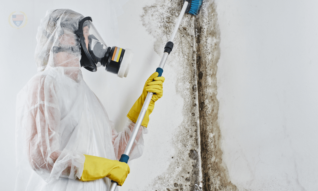 Mold, Fire & Water Remediation